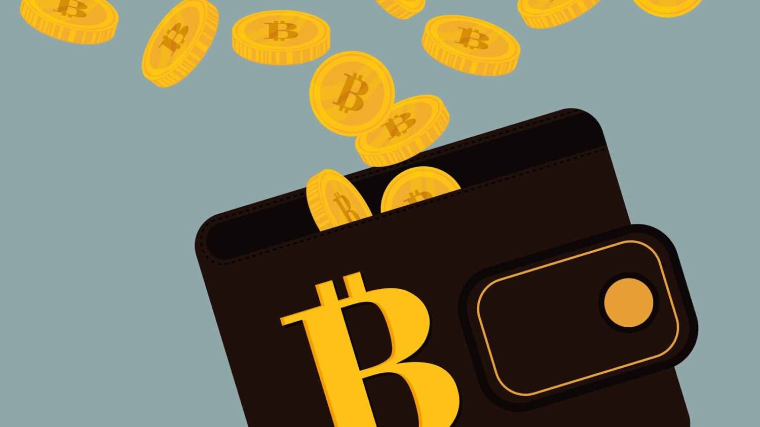 Cos’è un Bitcoin Wallet?