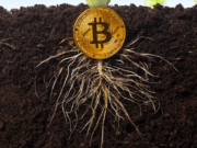 taproot bitcoin