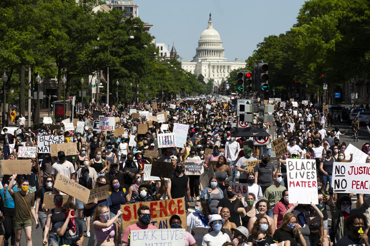 proteste img