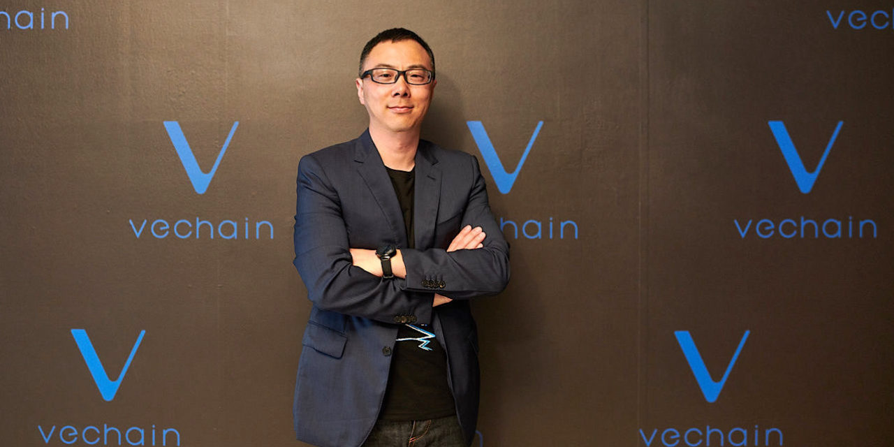 vechain img