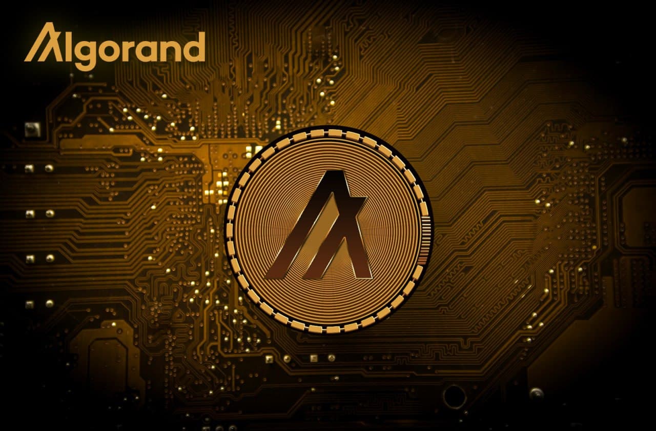 Algorand la guida completa 2021 | Scopri tutto su ALGO | ComprareBitcoin