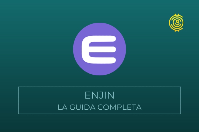 guida completa su Enjin coin