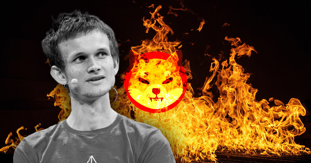 vitalik burn shiba